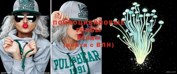 каннабис Покачи