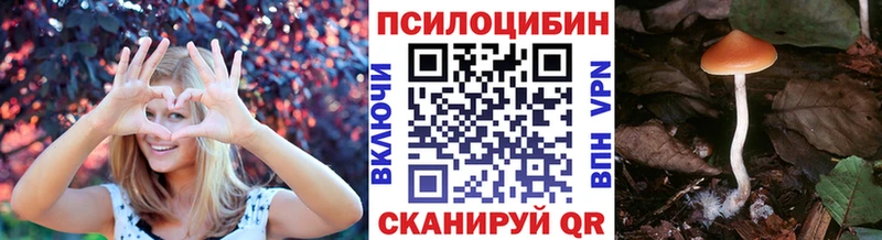 Псилоцибиновые грибы мицелий  наркотики  Полярные Зори 